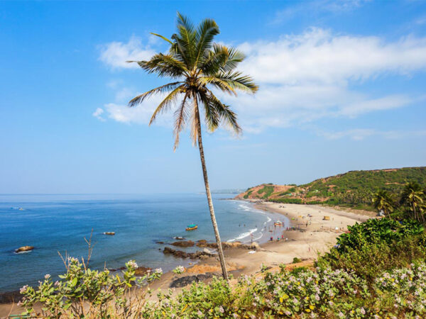 North Goa Sightseeing Tour