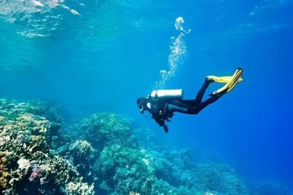 Scuba Diving & Water Sports Combo