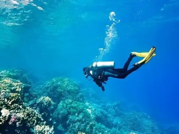 Scuba Diving & Water Sports Combo